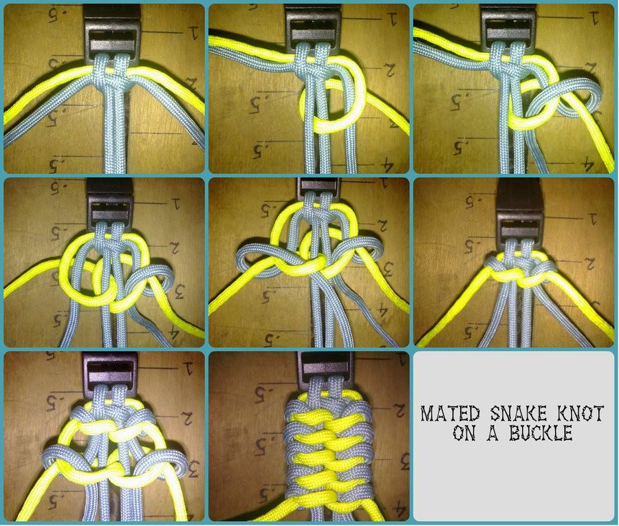 Mated Snake Knots on buckle - ParaCord Archive
