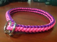 Diy Dog Collar Ribbon Diy Dog Collar Ribbon