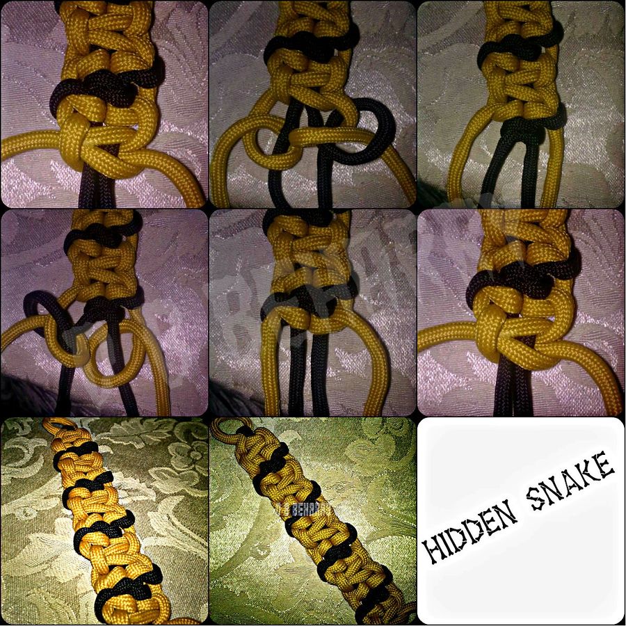 Hidden Snake.jpg