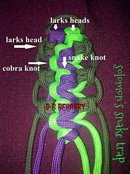File:Solomon's Snake Trap.jpg