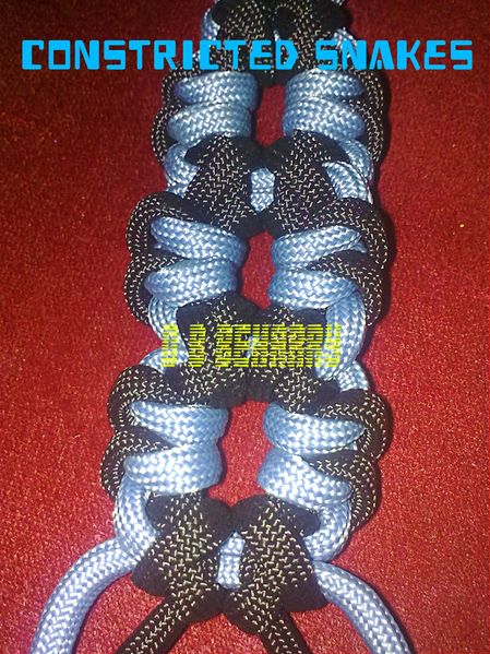 File:Constricted Snakes.jpg