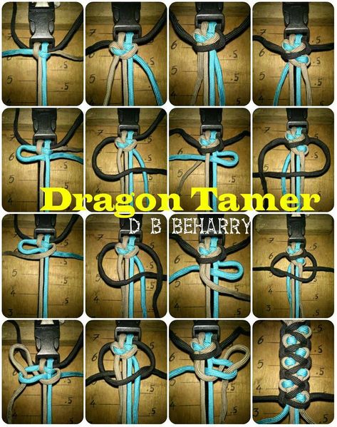 File:Dragon Tamer.jpg