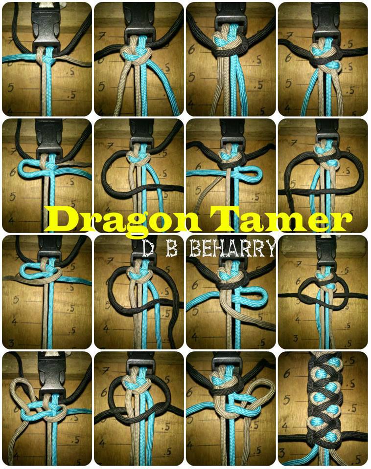 Dragon Tamer.jpg