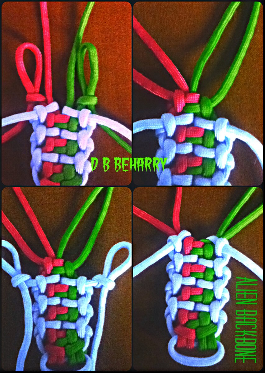 Alien Backbone.jpg