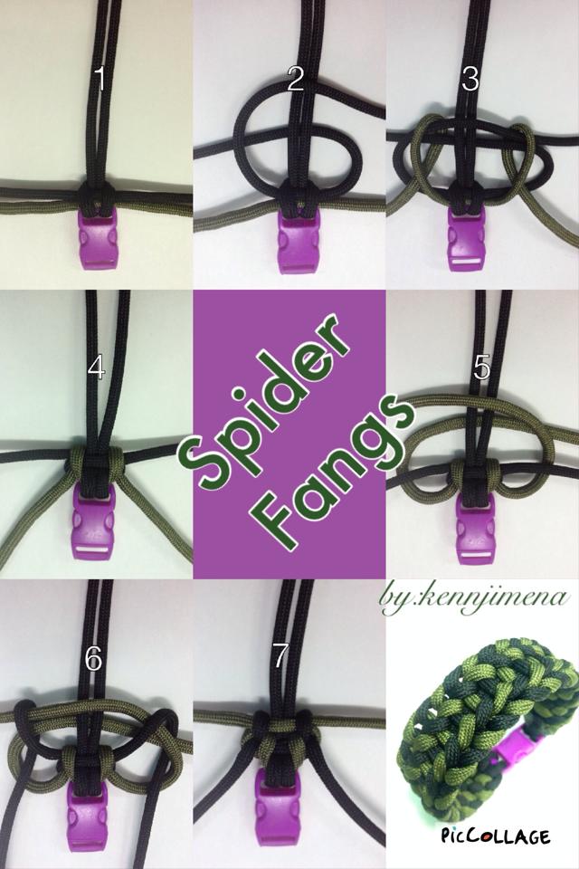 Spider Fangs.jpg