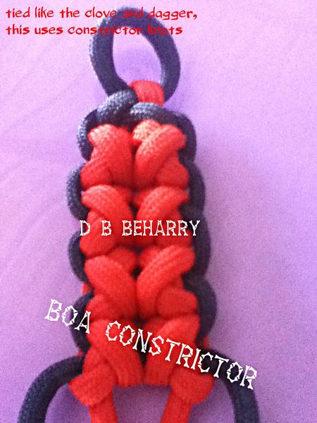 File:Boa Constrictor.jpg