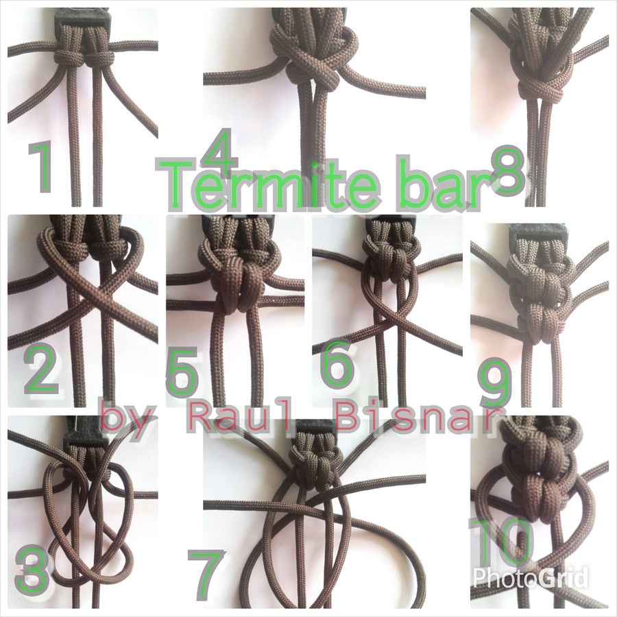 Termite Bar.jpg