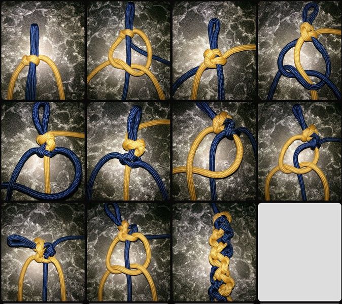File:Spiral Knobby T Sinnet.jpg