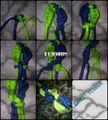 Thumbnail for version as of 09:16, 5 August 2013