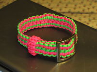 Adjustable Wide Solomon Collar.JPG