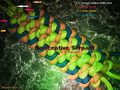 Thumbnail for version as of 09:35, 5 August 2013