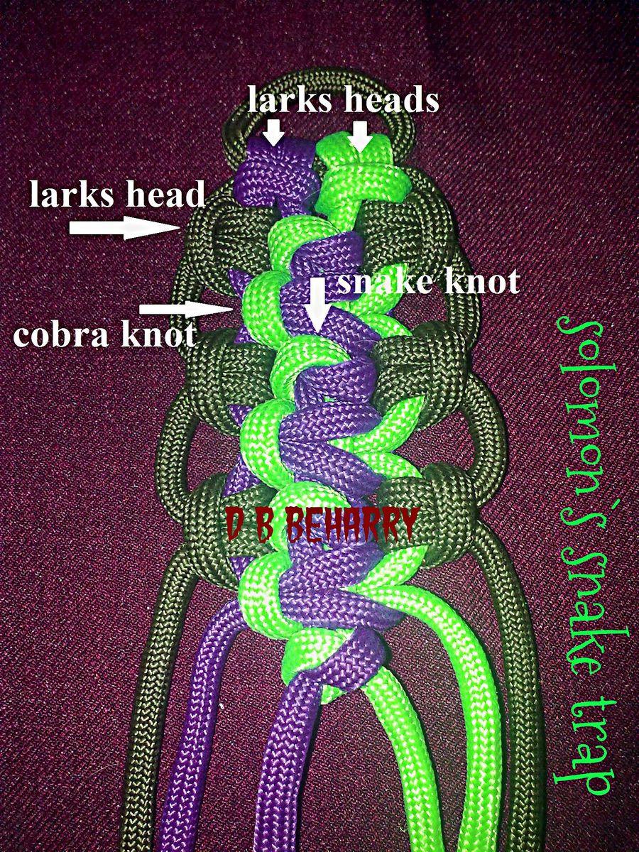 Solomon's Snake Trap.jpg