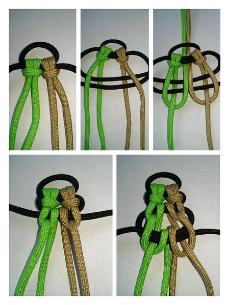File:Horseshoe sinnet.jpg