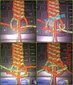Thumbnail for version as of 09:34, 5 August 2013