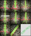 Thumbnail for version as of 09:15, 5 August 2013