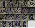 Thumbnail for version as of 07:41, 5 August 2013