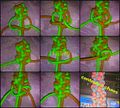 Thumbnail for version as of 10:08, 5 August 2013