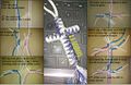 Thumbnail for version as of 10:04, 5 August 2013