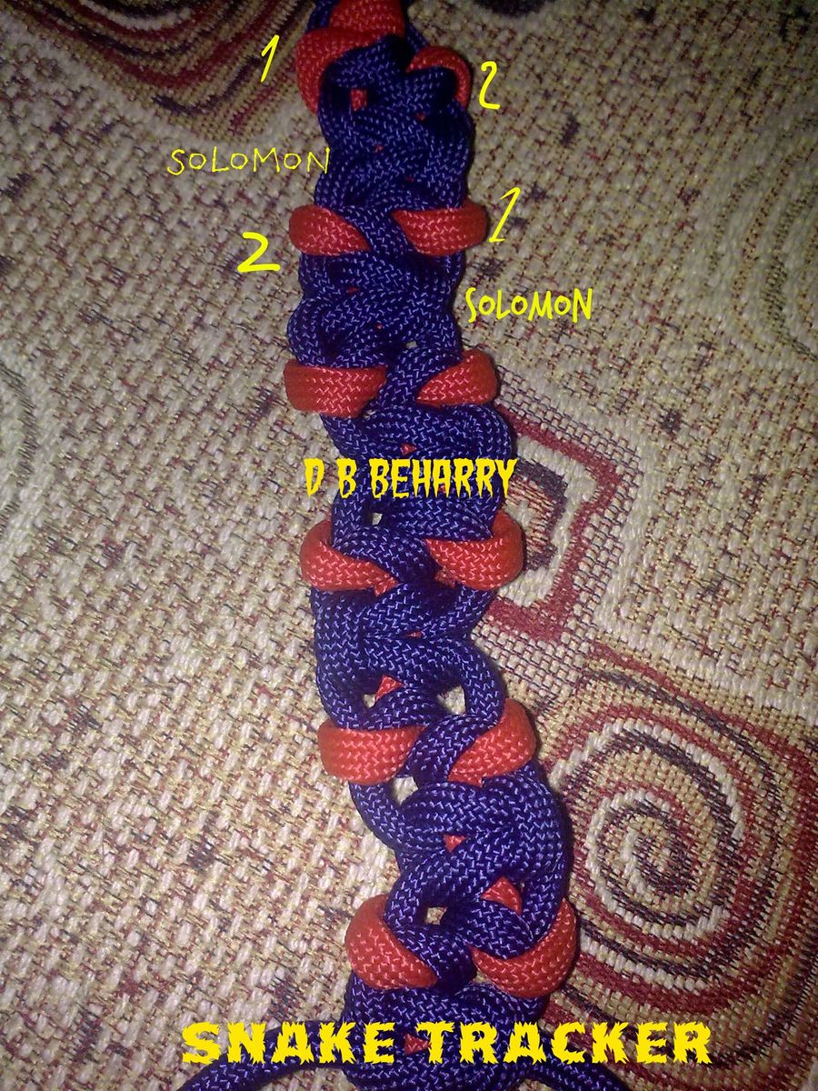 Snake Tracker.jpg